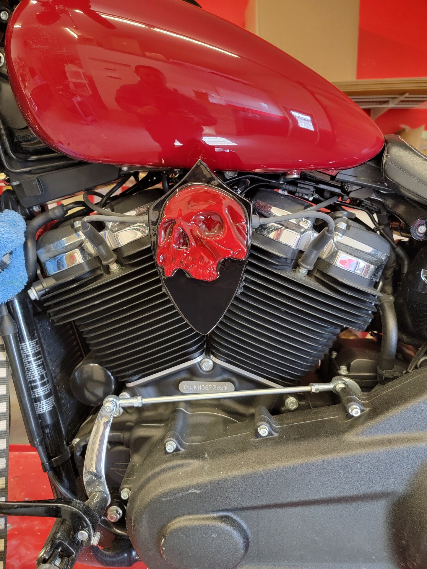 Twisted skull Coil Cover