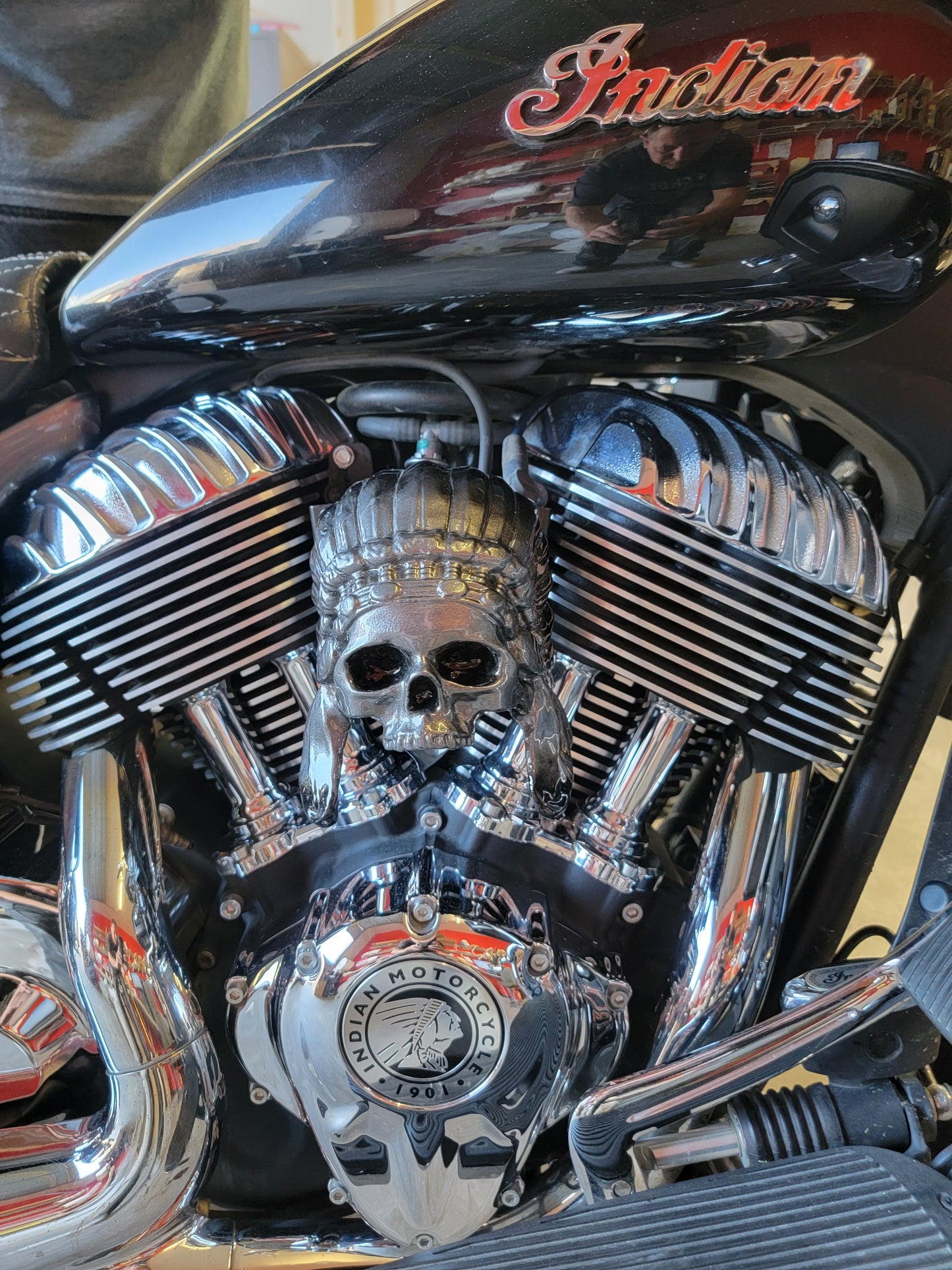 Indian skull warbonnet Horn cover