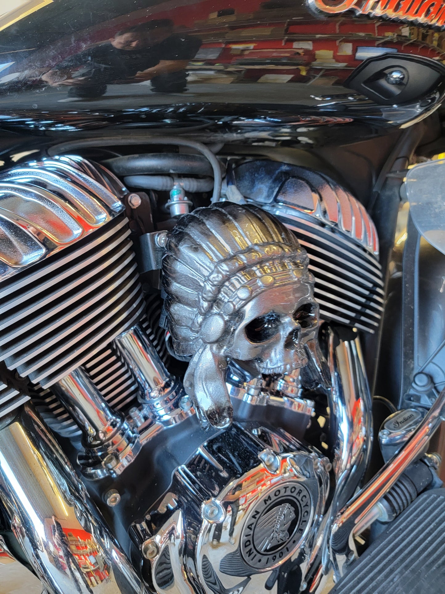 Indian skull warbonnet Horn cover
