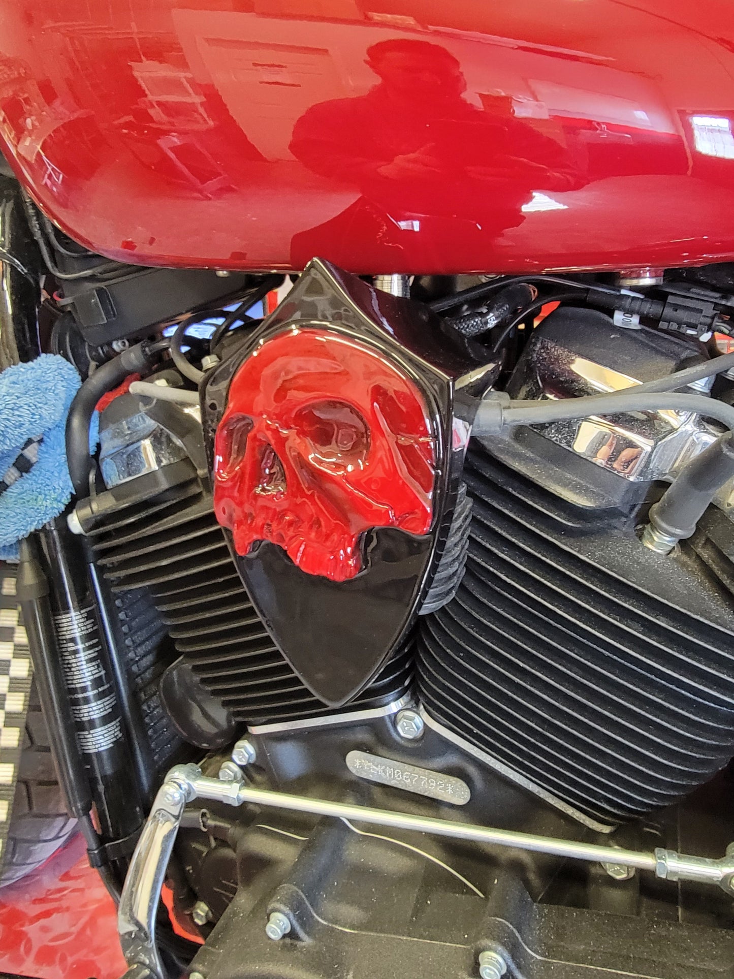 Twisted skull Coil Cover