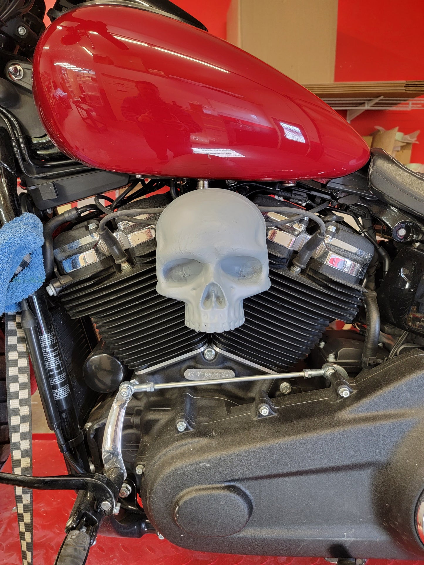 Ancient skull Coil Cover