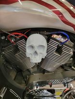 3D Ancient skull Victory "cheese wedge" replacement cover