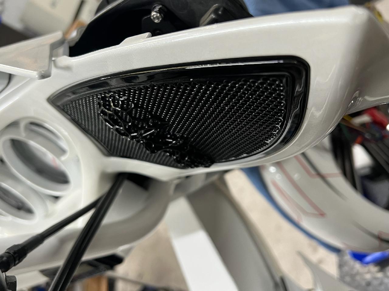 Webbed skull inner Victory grills