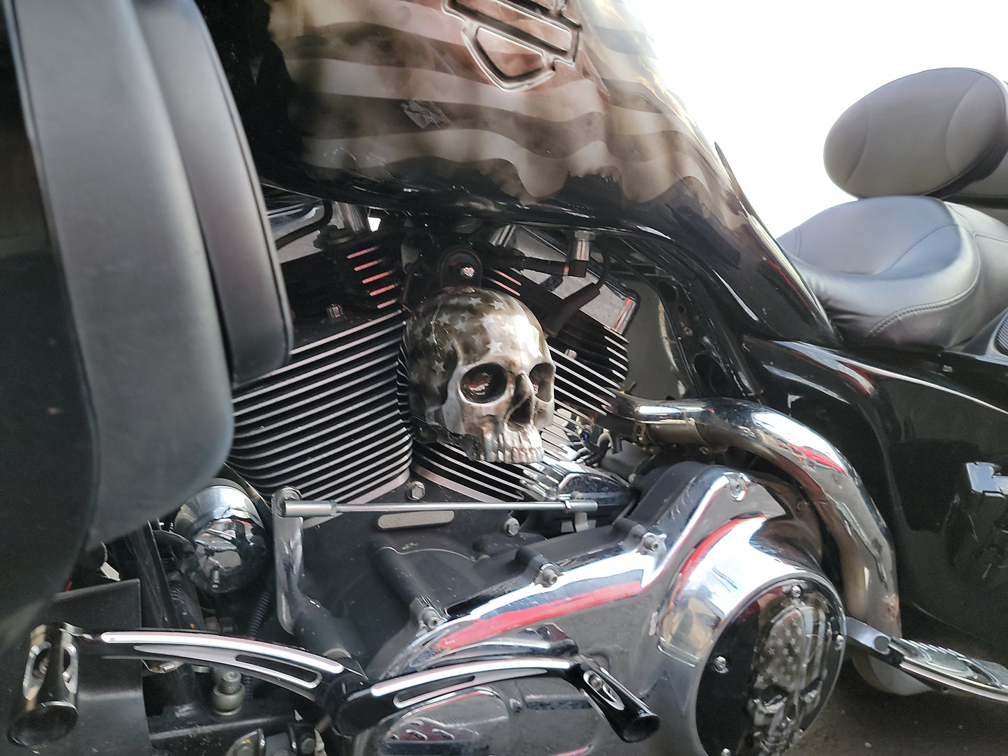 Indian ancient skull flag Horn cover