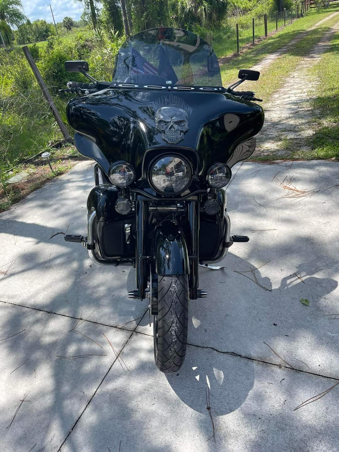 Skull fairing batwing