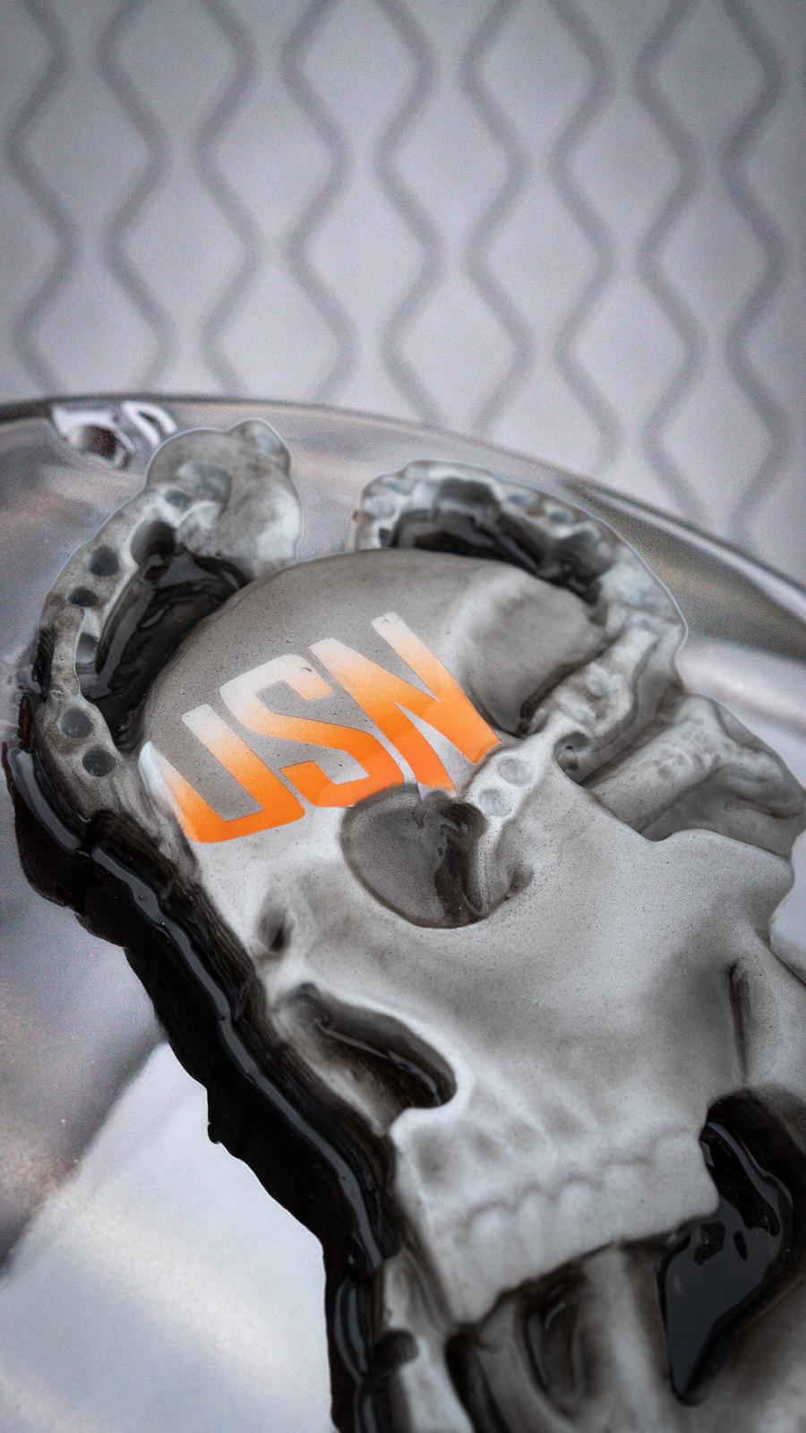 3D US NAVY skull and anchor derby Cover