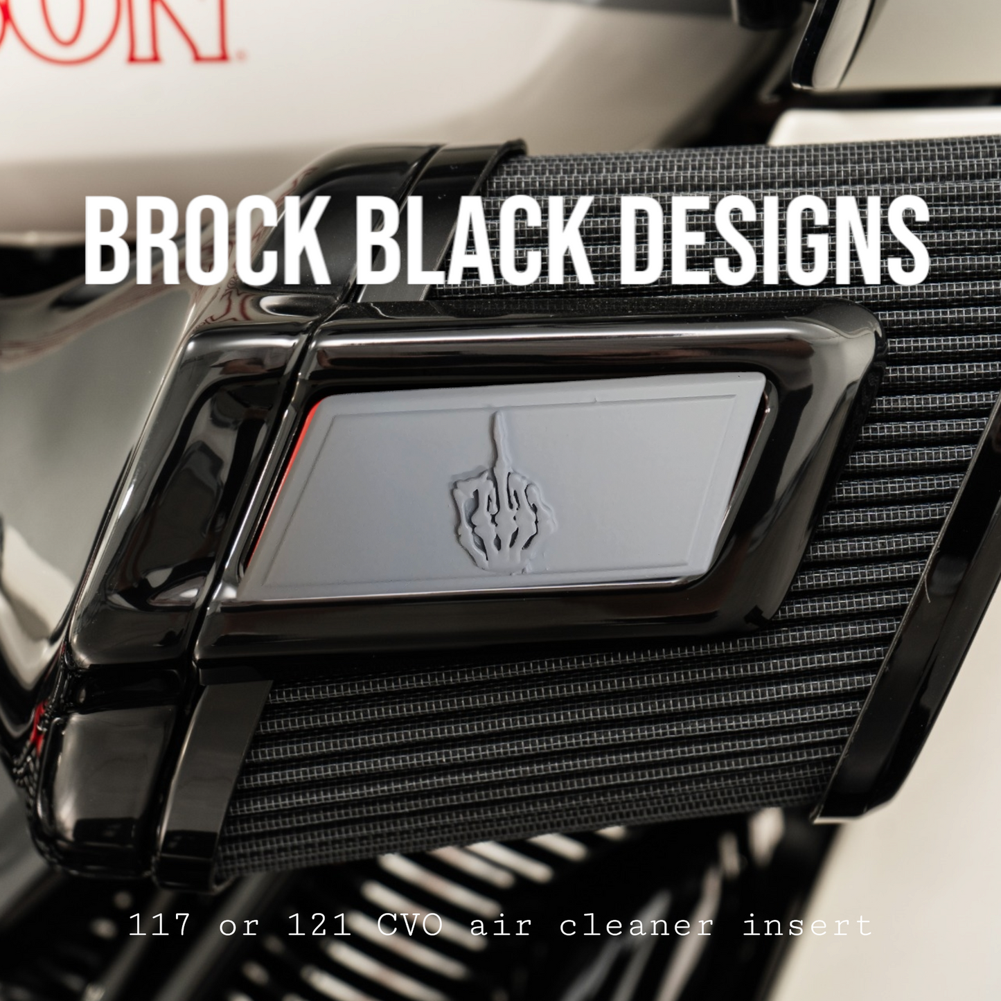 117 or 121  air cleaner insert 3D middle finger