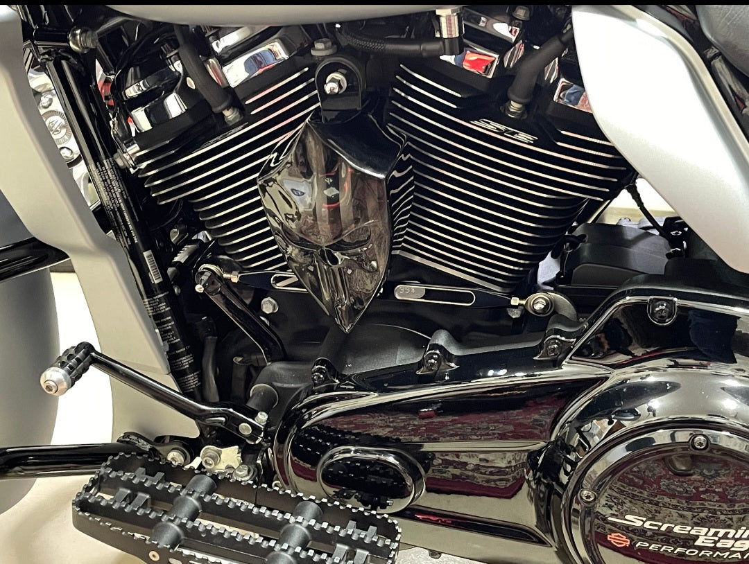 Punisher horn cover with ghosted flag