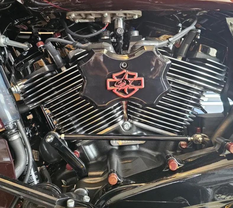 18+ Shark themed Coil Cover