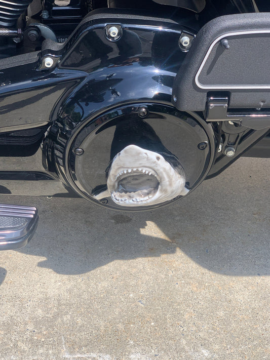 3D Shark derby cover