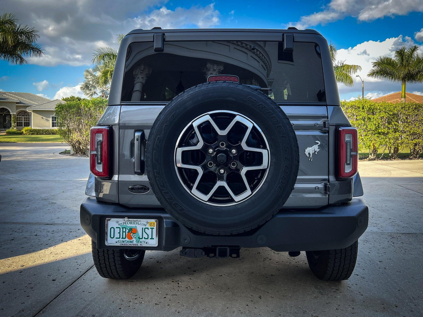Printed Series Ford Bronco Rear Oval Emblem Overlays (Full Print) - 2021+ Bronco / Bronco Sport