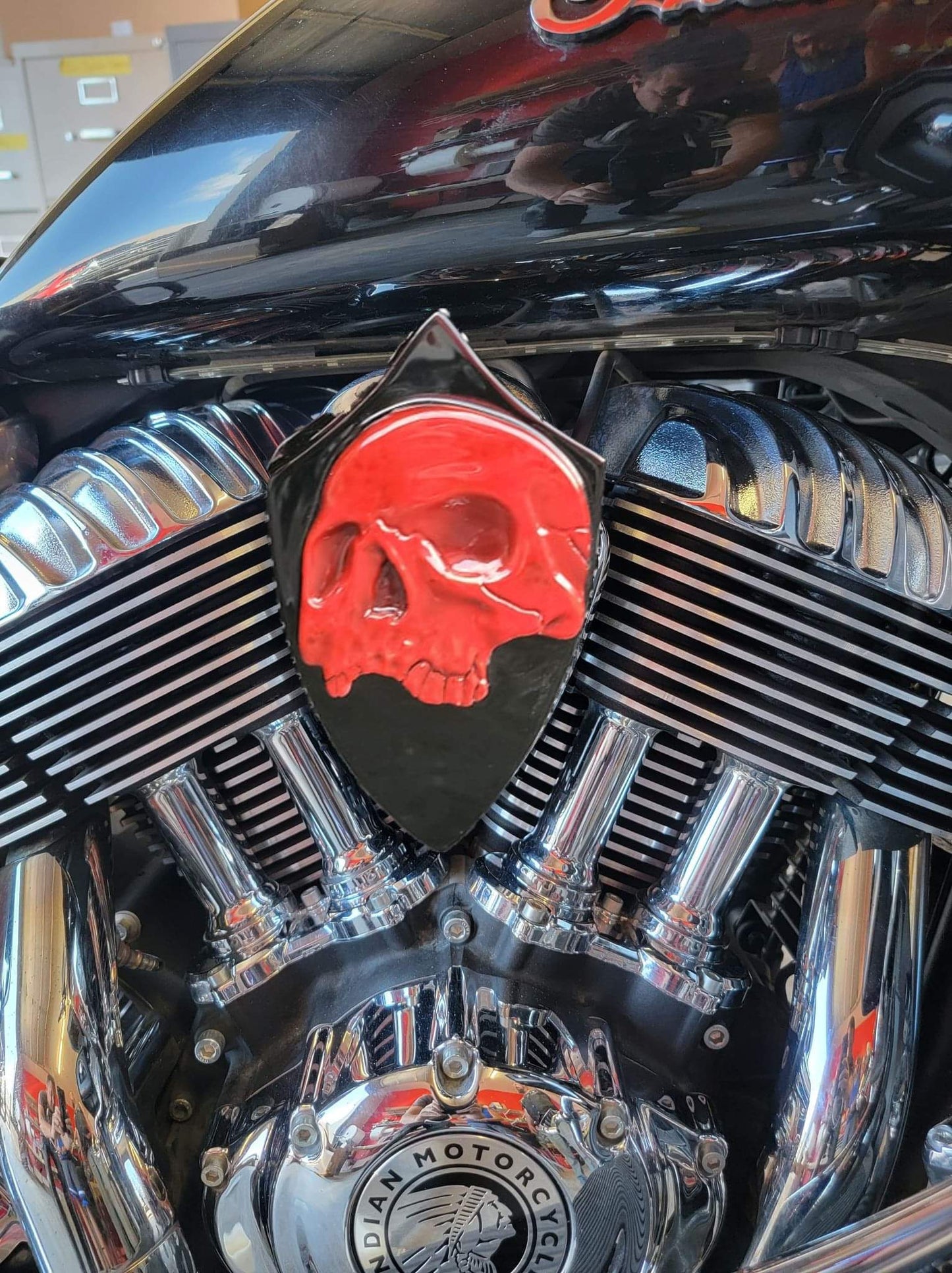 Indian twisted skull horn cover