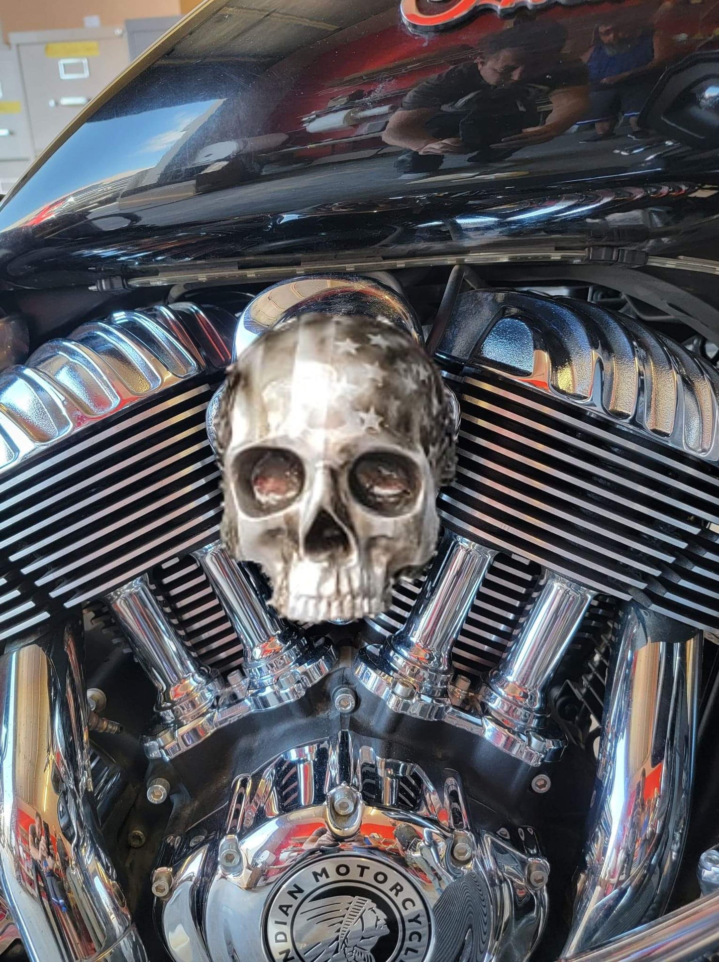 Indian ancient skull flag Horn cover