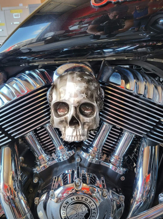 Indian ancient skull flag Horn cover
