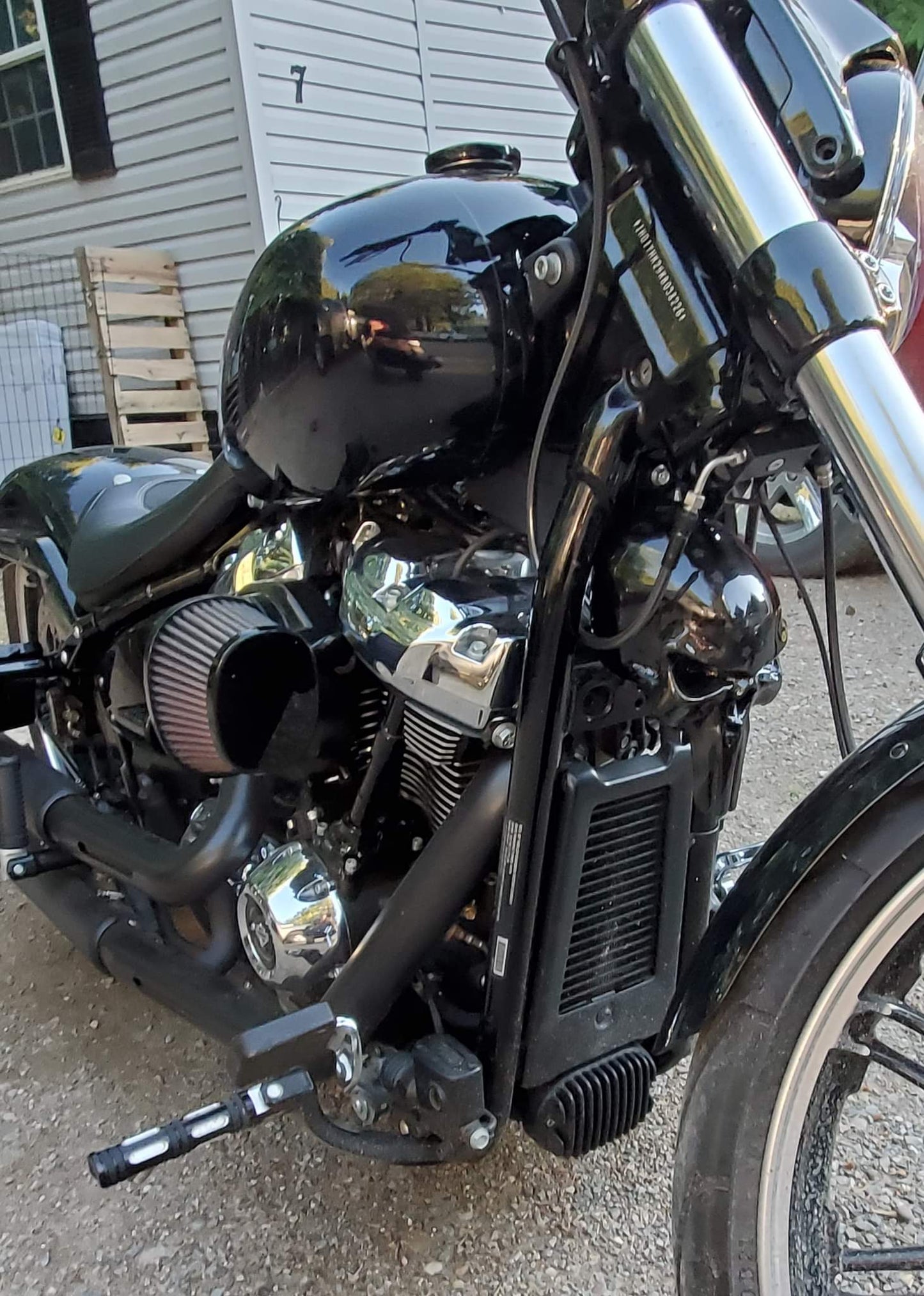 3D Punisher skull horn cover