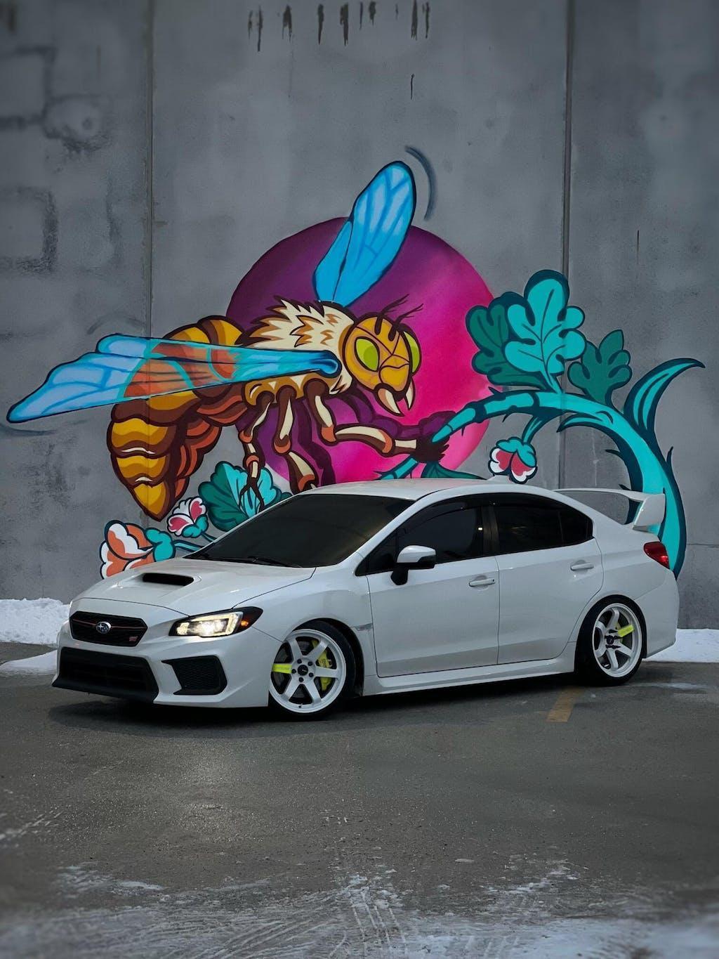 Vordoven Forme 10 Replacement Wheel Spoke Stickers (5 Pack, Printed Series) - Universal